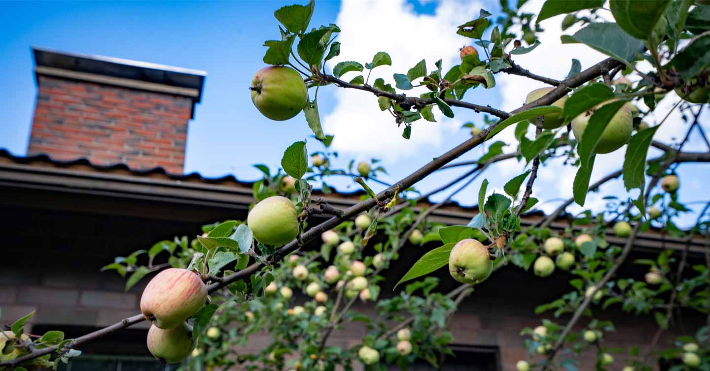 Kolme syytä teettää omakotitalon kattohuolto ammattilaisella